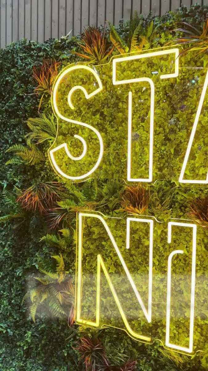 Das Startup-Nights-Schild in Neonbuchstaben an einer grünen Wand