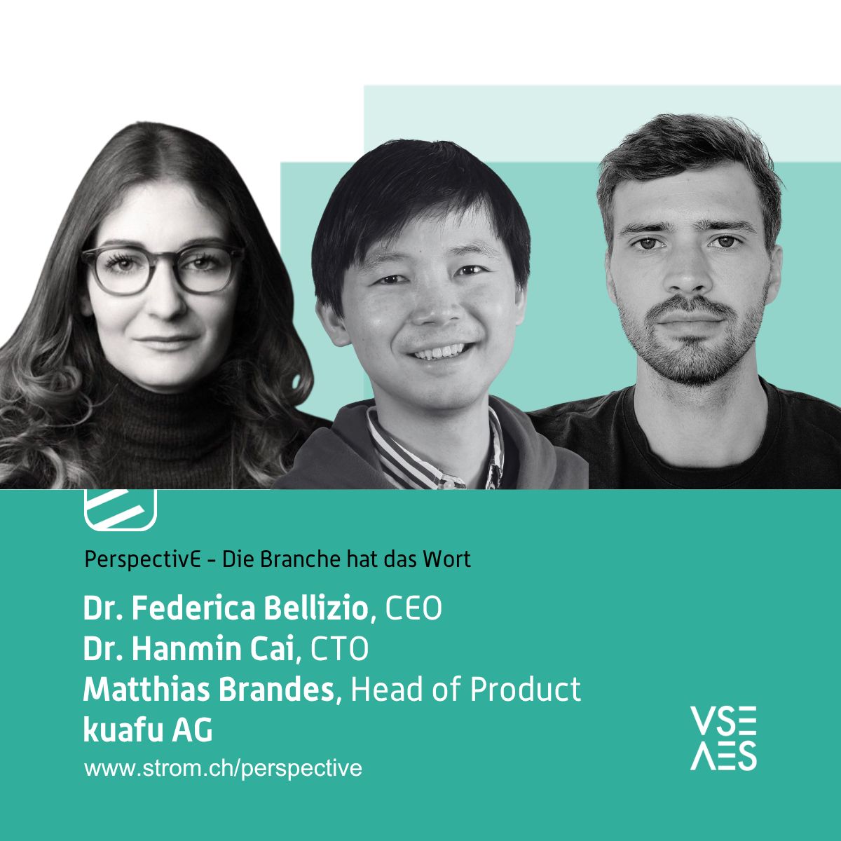 Federica Bellizio, Hanmin Cai und Matthias Brandes von kuafu, die Autoren des Artikels auf VSE PerspectivE